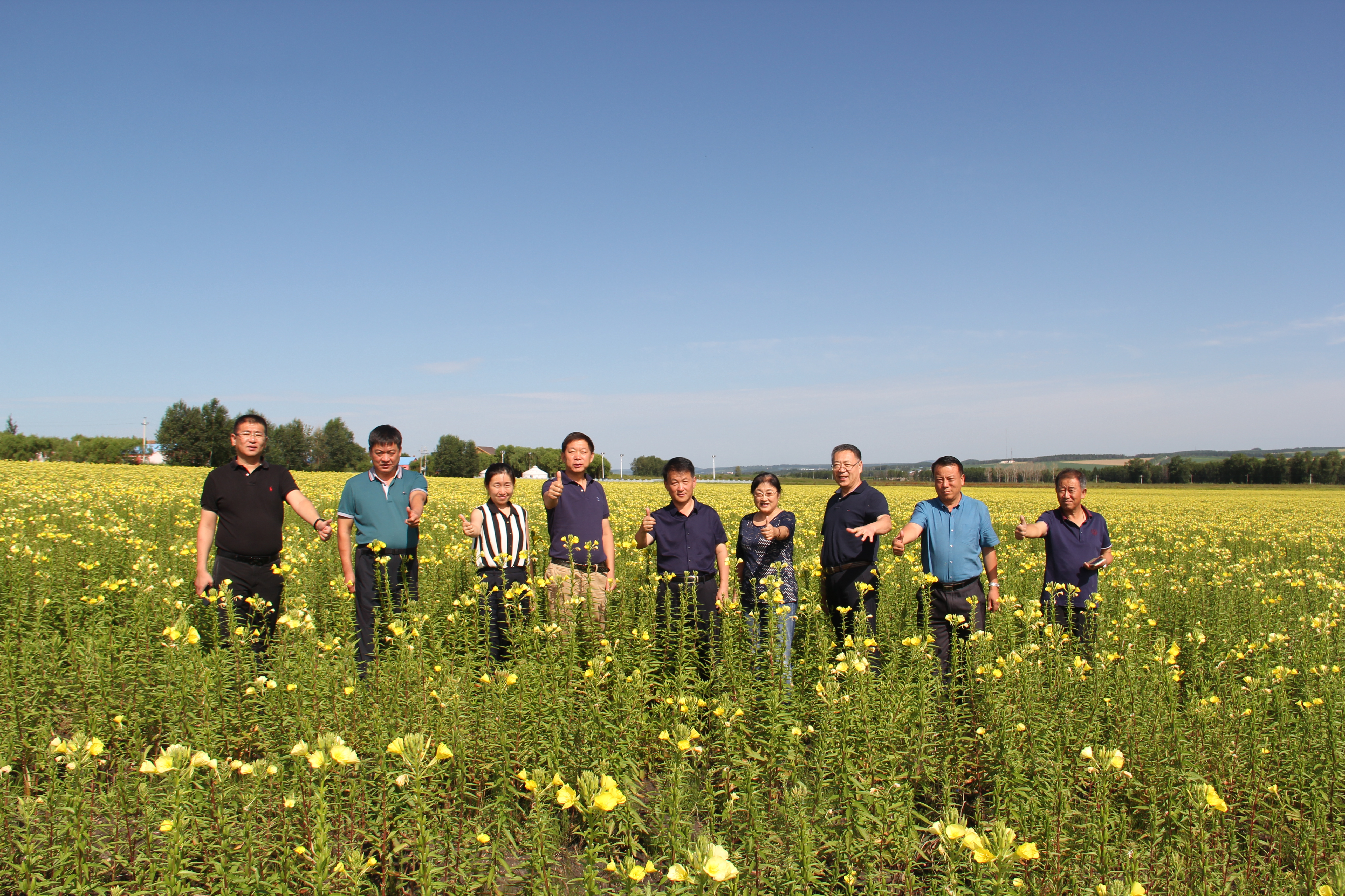 照片 367.jpg 照片 367.jpg