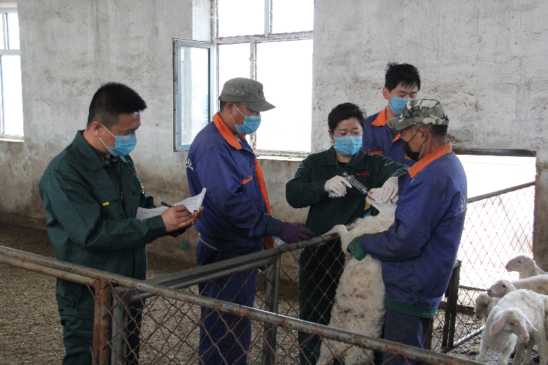 照片 066.jpg 照片 066.jpg