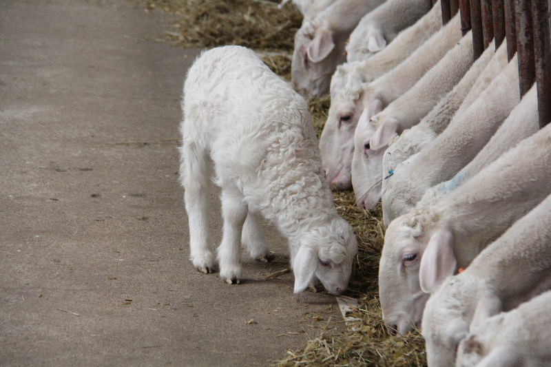 照片 030.jpg 照片 030.jpg