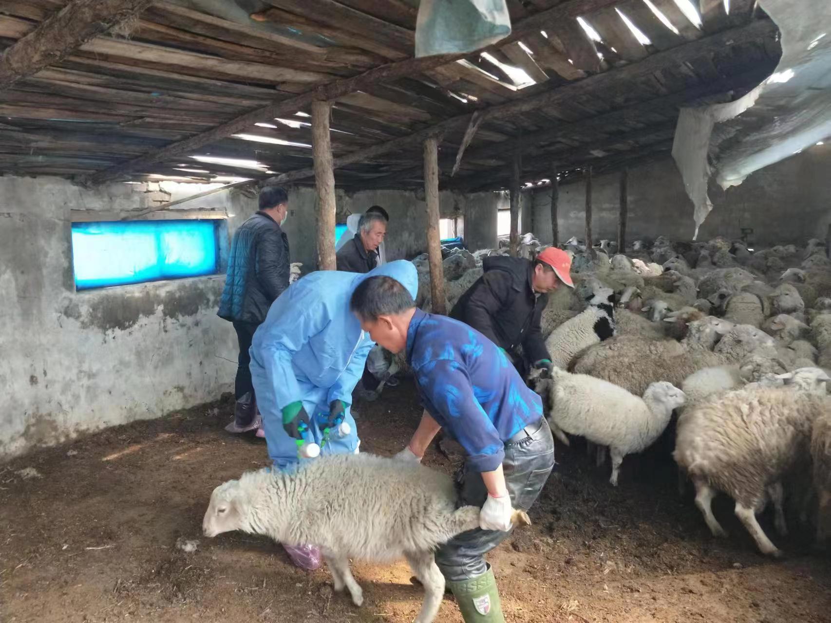 8e13a05d7b65d79f104c8022077f3b6.jpg 8e13a05d7b65d79f104c8022077f3b6.jpg