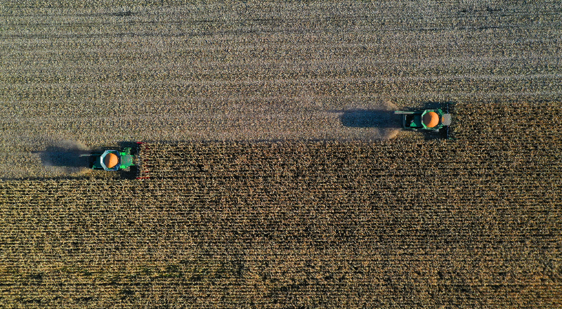 玉米喜获丰收 黄艳双摄.jpg 玉米喜获丰收 黄艳双摄.jpg