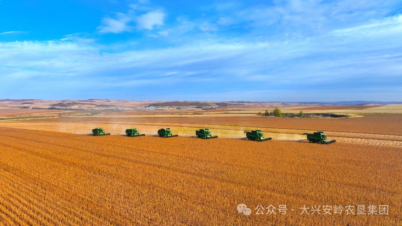 微信图片_20241125151331.jpg 微信图片_20241125151331.jpg