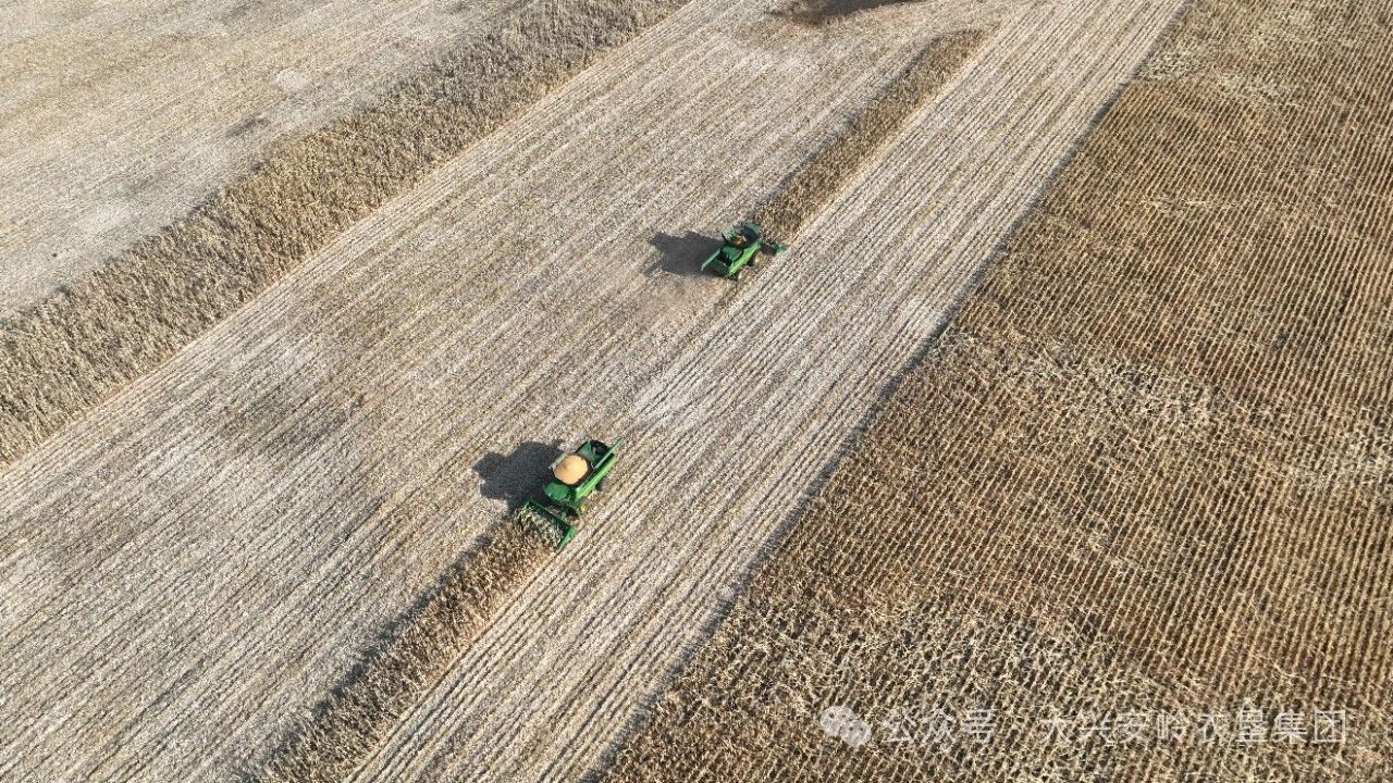 微信图片_20241125151631.jpg 微信图片_20241125151631.jpg