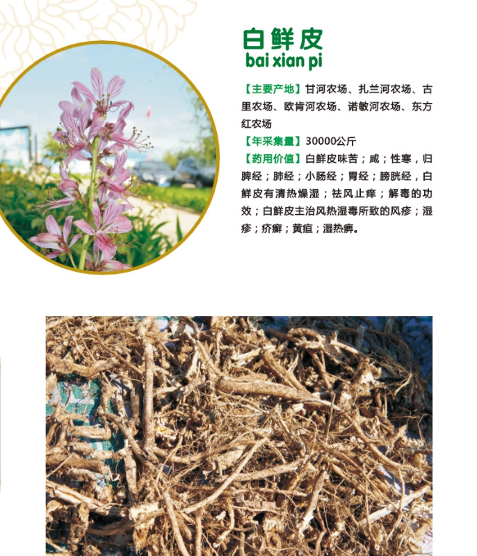 14.白鲜皮.jpg