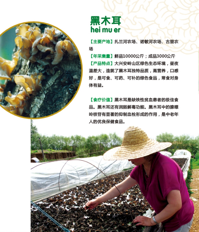 1.黑木耳.jpg