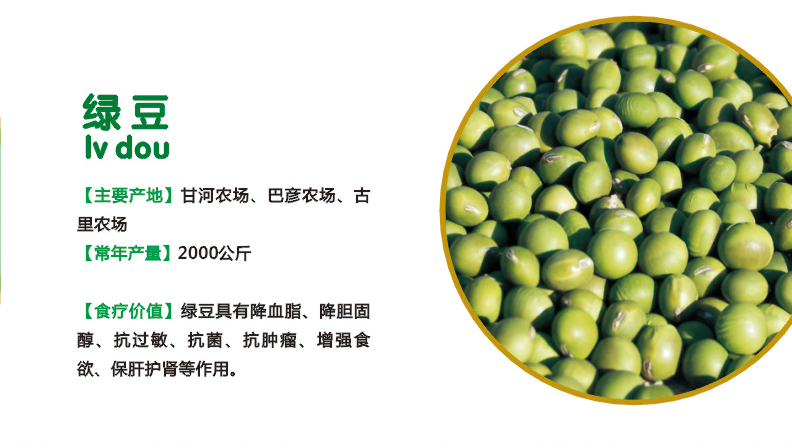2.绿豆.jpg