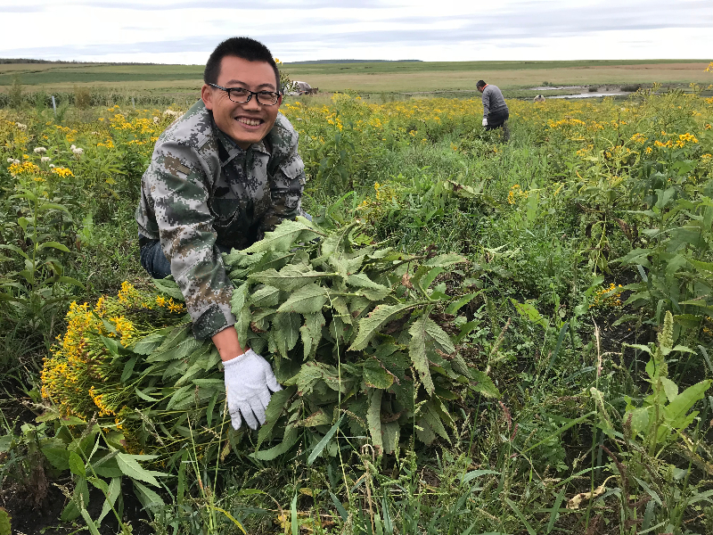 IMG_6815.JPG IMG_6815.JPG