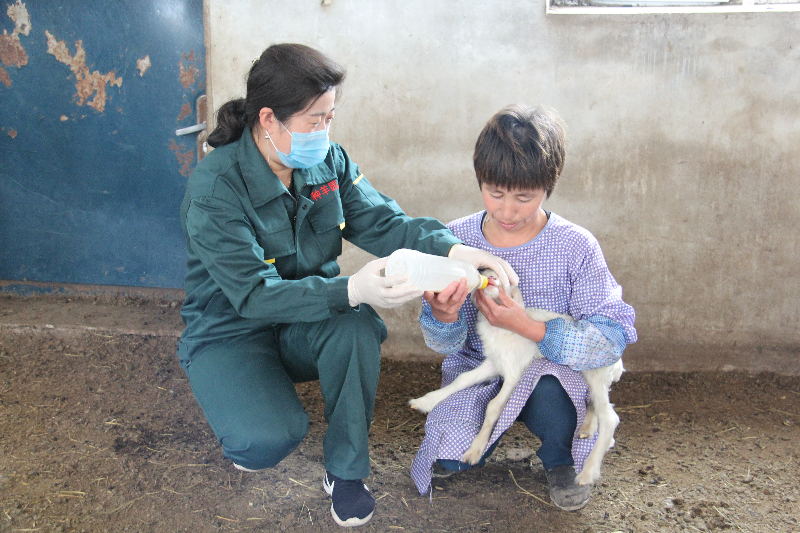 照片 083.jpg 照片 083.jpg